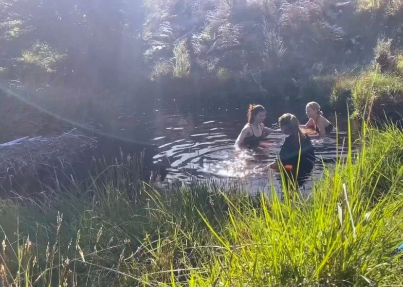 Guests in the stream